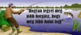 /album/fenykepgaleria/images-jpeg/